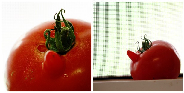 a tomato with a face